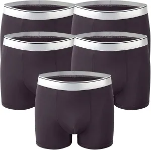 JEKE-DG Men's Traceless Ice Silk Boxer Brief Underwear Low Rise Transparent Briefs Soft Breathable Trunks Underwear