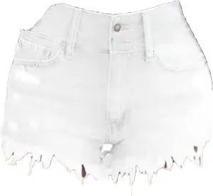 Women Casual High Waisted Denim Shorts Frayed Raw Hem Ripped Jeans Shorts Stretchy Hot Denim Shorts for Summer